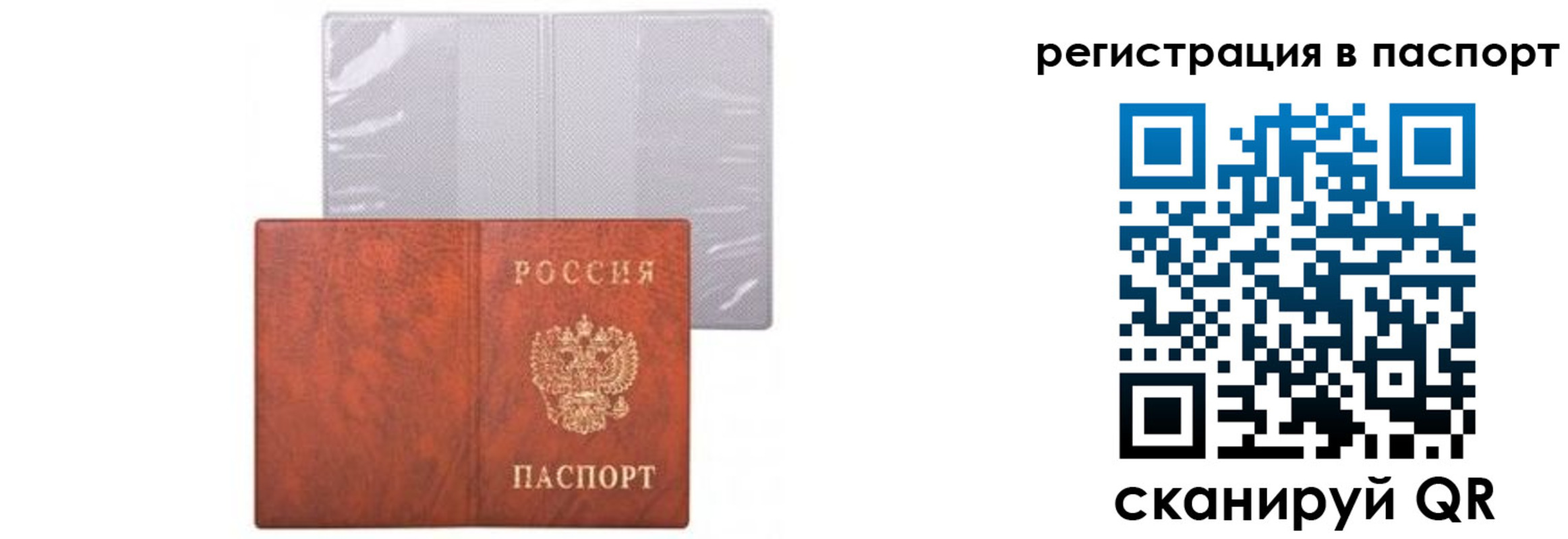 прописка ребенка в Сертолово